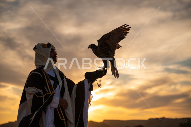 رمز القوة والتحدي وحدة البصر, توارث شغف تربية الجوارح, منظر السماء عند شروق الشمس, يوم بدينا 22 فبراير، ذكرى تأسيس الدوله السعوديه الاولى 1727 م, مكانة الصقور في التاريخ السعودي, صورة مقربة من الجانب لرجل عربي خليجي سعودي يرتدي البشت والعقال يحمل طائر الصقر