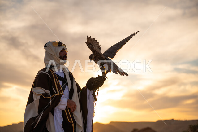 منظر السماء عند شروق الشمس, يوم بدينا 22 فبراير، ذكرى تأسيس الدوله السعوديه الاولى 1727 م, مكانة الصقور في التاريخ السعودي, رمز القوة والتحدي وحدة البصر, توارث شغف تربية الجوارح, صورة مقربة من الجانب لرجل عربي خليجي سعودي يرتدي البشت والعقال يحمل طائر الصقر