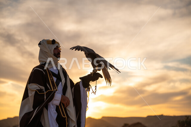 ذكرى تأسيس الدوله السعوديه الاولى 1727 م, مكانة الصقور في التاريخ السعودي, رمز القوة والتحدي وحدة البصر, توارث شغف تربية الجوارح, يوم بدينا 22 فبراير، صورة مقربة من الجانب لرجل عربي خليجي سعودي يرتدي البشت والعقال يحمل طائر الصقر, منظر السماء عند شروق الشمس