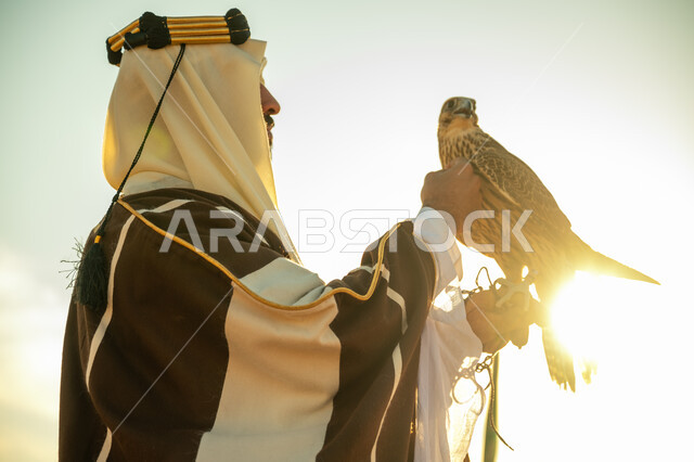 الاهتمام بتربية الطيور و تدريبها, مكانة الصقور في التاريخ السعودي, ذكرى تاسيس الدوله السعوديه الاولى 1727 م, يوم بدينا 22 فبراير، صورة مقربة من الجانب لرجل عربي خليجي سعودي يرتدي الغترة والبشت يحمل على يده طائر الصقر بتعابير الفخر, خلفية السماء مع الشمس الساطعه