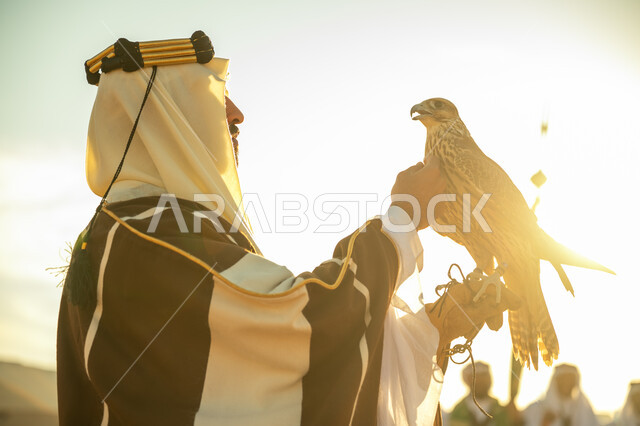 العناية بتربية الطيور و تدريبها, مكانة الصقور في التاريخ السعودي, ذكرى تاسيس الدوله السعوديه الاولى 1727 م, يوم بدينا 22 فبراير، صورة مقربة من الجانب لرجل عربي خليجي سعودي يرتدي الغترة والبشت يحمل على يده طائر الصقر بتعابير الفخر, خلفية السماء مع الشمس الساطعه