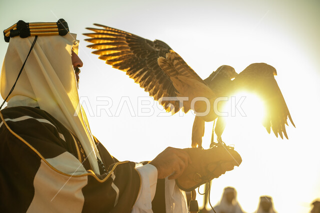 مكانة الصقور في التاريخ السعودي, ذكرى تاسيس الدوله السعوديه الاولى 1727 م, يوم بدينا 22 فبراير، العناية بتربية الطيور و تدريبها, صورة مقربة من الجانب لرجل عربي خليجي سعودي يرتدي الغترة والبشت يحمل على يده طائر الصقر بتعابير الفخر, خلفية السماء مع الشمس الساطعه