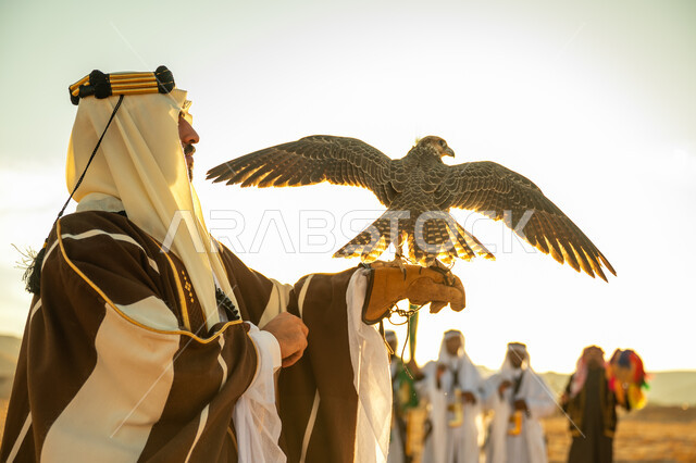 العناية بتربية الطيور و تدريبها, مكانة الصقور في التاريخ السعودي, ذكرى تاسيس الدوله السعوديه الاولى 1727 م, يوم بدينا 22 فبراير، صورة مقربة من الجانب لرجل عربي خليجي سعودي يرتدي الغترة والبشت يحمل على يده طائر الصقر بتعابير الفخر, خلفية العرضة النجدية في الصحراء