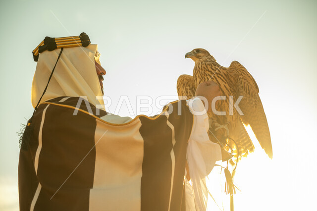 مكانة الصقور في التاريخ السعودي, ذكرى تاسيس الدوله السعوديه الاولى 1727 م, يوم بدينا 22 فبراير، العناية بتربية الطيور و تدريبها, صورة مقربة من الجانب لرجل عربي خليجي سعودي يرتدي الغترة والبشت يحمل على يده طائر الصقر بتعابير الفخر, خلفية السماء مع الشمس الساطعه