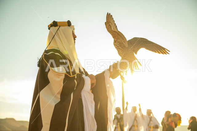 ذكرى تاسيس الدوله السعوديه الاولى 1727 م, يوم بدينا 22 فبراير، العناية بتربية الطيور و تدريبها, مكانة الصقور في التاريخ السعودي, صورة مقربة من الجانب لرجل عربي خليجي سعودي يرتدي الغترة والبشت يحمل على يده طائر الصقر بتعابير الفخر, خلفية العرضة النجدية
