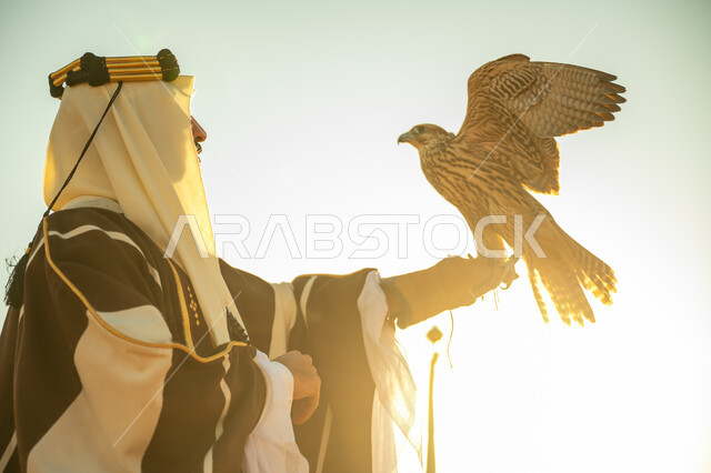 يوم بدينا 22 فبراير، العناية بتربية الطيور و تدريبها, مكانة الصقور في التاريخ السعودي, ذكرى تاسيس الدوله السعوديه الاولى 1727 م, صورة مقربة من الجانب لرجل عربي خليجي سعودي يرتدي الغترة والبشت يحمل على يده طائر الصقر بتعابير الفخر, خلفية السماء مع الشمس الساطعه
