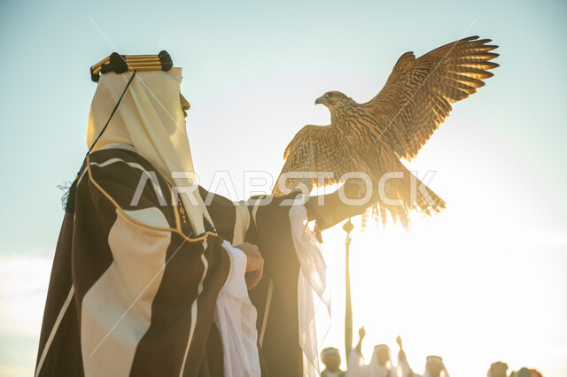 يوم بدينا 22 فبراير، العناية بتربية الطيور و تدريبها, مكانة الصقور في التاريخ السعودي, ذكرى تاسيس الدوله السعوديه الاولى 1727 م, صورة مقربة من الجانب لرجل عربي خليجي سعودي يرتدي الغترة والبشت يحمل على يده طائر الصقر بتعابير الفخر, خلفية السماء مع الشمس الساطعه