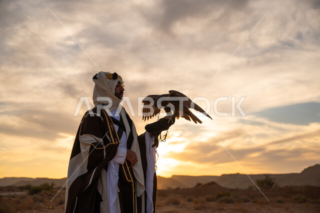 مكانة الصقور في التاريخ السعودي, رمز القوة والتحدي وحدة البصر, توارث شغف تربية الجوارح, منظر السماء عند شروق الشمس, يوم بدينا 22 فبراير، ذكرى تأسيس الدوله السعوديه الاولى 1727 م, صورة مقربة من الجانب لرجل عربي خليجي سعودي يرتدي البشت والعقال يحمل طائر الصقر