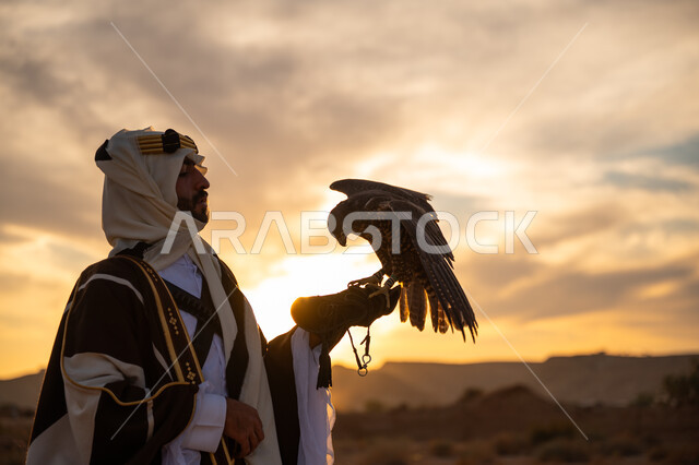 رمز القوة والتحدي وحدة البصر, توارث شغف تربية الجوارح, منظر السماء عند شروق الشمس, يوم بدينا 22 فبراير، ذكرى تأسيس الدوله السعوديه الاولى 1727 م, مكانة الصقور في التاريخ السعودي, صورة مقربة من الجانب لرجل عربي خليجي سعودي يرتدي البشت والعقال يحمل طائر الصقر