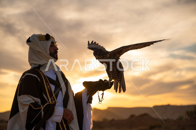 منظر السماء عند شروق الشمس, يوم بدينا 22 فبراير، ذكرى تأسيس الدوله السعوديه الاولى 1727 م, مكانة الصقور في التاريخ السعودي, رمز القوة والتحدي وحدة البصر, توارث شغف تربية الجوارح, صورة مقربة من الجانب لرجل عربي خليجي سعودي يرتدي البشت والعقال يحمل طائر الصقر