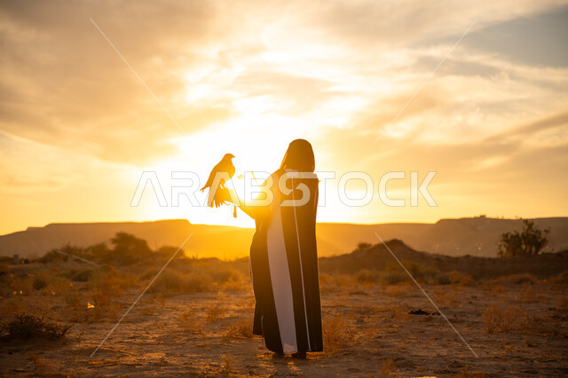 يوم بدينا 22 فبراير, ذكرى تأسيس الدوله السعوديه الاولى 1727 م, رمز القوة والتحدي, مكانة الصقور في التاريخ السعودي, إقدام المرأة على ترويض الطيور الجارحة, صورة من الخلف لسيدة عربية خليجية سعودية ترتدي العباءة والبرقع تمسك بيدها صقر, شروق الشمس في الطبيعة الصحراوية