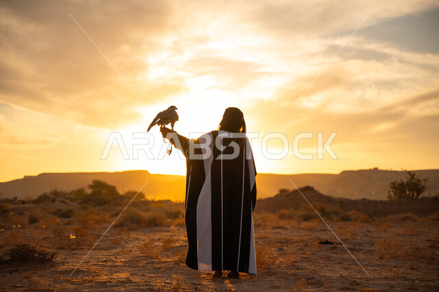 ذكرى تأسيس الدوله السعوديه الاولى 1727 م, رمز القوة والتحدي, مكانة الصقور في التاريخ السعودي, إقدام المرأة على ترويض الطيور الجارحة, صورة من الخلف لسيدة عربية خليجية سعودية ترتدي العباءة والبرقع تمسك بيدها صقر, يوم بدينا 22 فبراير, شروق الشمس في الطبيعة الصحراوية