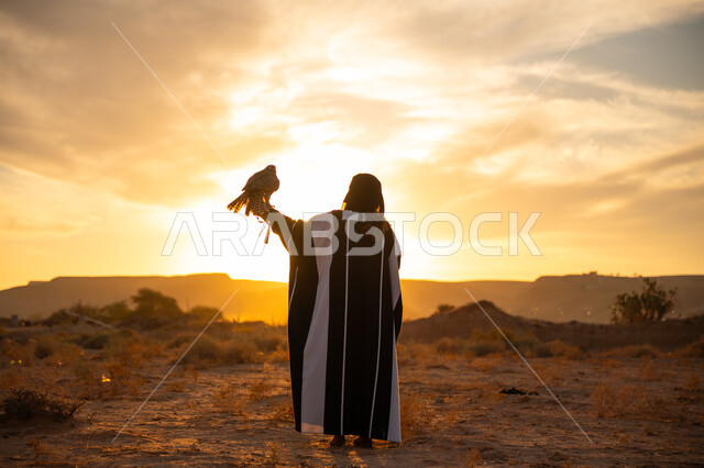 رمز القوة والتحدي, مكانة الصقور في التاريخ السعودي, إقدام المرأة على ترويض الطيور الجارحة, صورة من الخلف لسيدة عربية خليجية سعودية ترتدي العباءة والبرقع تمسك بيدها صقر, ذكرى تأسيس الدوله السعوديه الاولى 1727 م, يوم بدينا 22 فبراير, شروق الشمس في الطبيعة الصحراوية