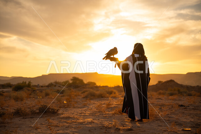إقدام المرأة على تربية الطائر الجارح، أهمية الصقور في التاريخ السعودي, حدة البصر والافتراس, يوم بدينا 22 فبراير، ذكرى تاسيس الدوله السعوديه الاولى 1727م, صورة من الخلف لامرأة عربية خليجية سعودية ترتدي العباءة والبرقع يقف على يدها الصقر, غروب الشمس في الصحراء