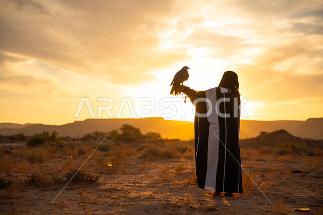 أهمية الصقور في التاريخ السعودي, حدة البصر والافتراس, يوم بدينا 22 فبراير، ذكرى تاسيس الدوله السعوديه الاولى 1727م, إقدام المرأة على تربية الطائر الجارح، صورة من الخلف لامرأة عربية خليجية سعودية ترتدي العباءة والبرقع يقف على يدها الصقر, غروب الشمس في الصحراء