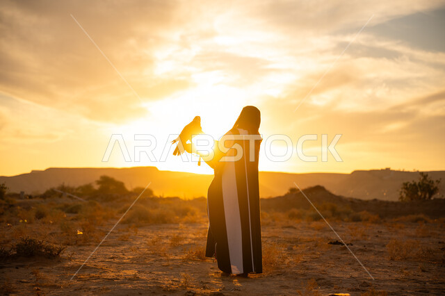 الافتراس وحدة البصر, يوم بدينا 22 فبراير، ذكرى تاسيس الدوله السعوديه الاولى 1727م, إقدام المرأة على تربية الطائر الجارح، أهمية الصقور في التاريخ السعودي, صورة من الخلف لامرأة عربية خليجية سعودية ترتدي العباءة والبرقع يقف على يدها الصقر, غروب الشمس في الصحراء