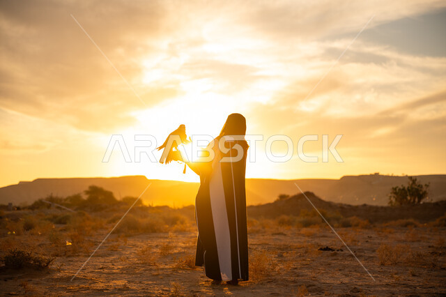 ذكرى تاسيس الدوله السعوديه الاولى 1727م, إقدام المرأة على تربية الطائر الجارح، أهمية الصقور في التاريخ السعودي, يوم بدينا 22 فبراير، الافتراس وحدة البصر, صورة من الخلف لامرأة عربية خليجية سعودية ترتدي العباءة والبرقع يقف على يدها الصقر, غروب الشمس في الصحراء