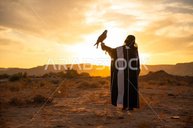 أهمية الصقور في التاريخ السعودي, الافتراس وحدة البصر, يوم بدينا 22 فبراير، ذكرى تاسيس الدوله السعوديه الاولى 1727م, إقدام المرأة على تربية الطائر الجارح، صورة من الخلف لامرأة عربية خليجية سعودية ترتدي العباءة والبرقع يقف على يدها الصقر, غروب الشمس في الصحراء