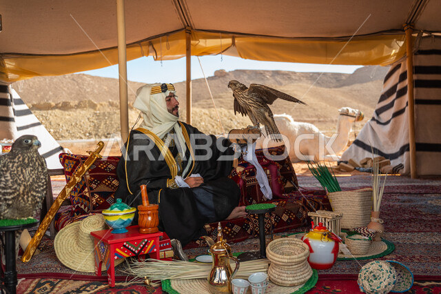 ذكرى تأسيس الدوله السعوديه الأولى 1727 م, تدريب الصقر الجارح، الاهتمام بتربيه الطيور البرية, مكانة الصقور في التاريخ السعودي, يوم بدينا 22 فبراير، رجل عربي خليجي سعودي يرتدي الغترة والبشت والعقال الذهبي العريض يجلس بالخيمة يحمل على يده طائر الصقر بتعابير الفخر