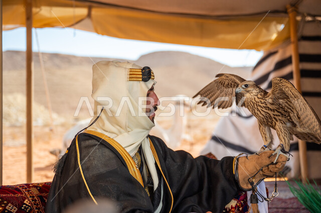ذكرى تأسيس الدوله السعوديه الأولى 1727 م, تدريب الصقر الجارح، الاهتمام بتربيه الطيور البرية, مكانة الصقور في التاريخ السعودي, يوم بدينا 22 فبراير، رجل عربي خليجي سعودي يرتدي الغترة والبشت والعقال الذهبي العريض يجلس بالخيمة يحمل على يده طائر الصقر بتعابير الفخر
