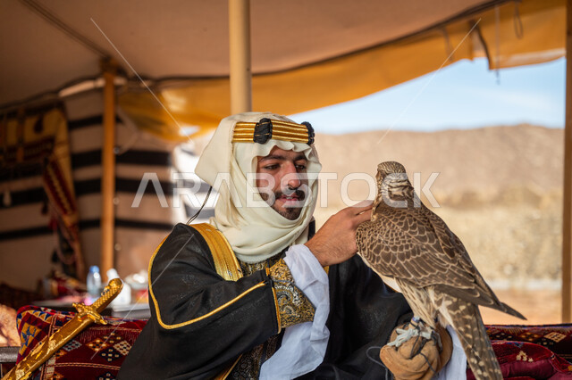 تدريب الصقر الجارح، الاهتمام بتربيه الطيور البرية, مكانة الصقور في التاريخ السعودي, ذكرى تأسيس الدوله السعوديه الأولى 1727 م, يوم بدينا 22 فبراير، رجل عربي خليجي سعودي يرتدي الغترة والبشت والعقال الذهبي العريض يجلس بالخيمة يحمل على يده طائر الصقر بتعابير الفخر