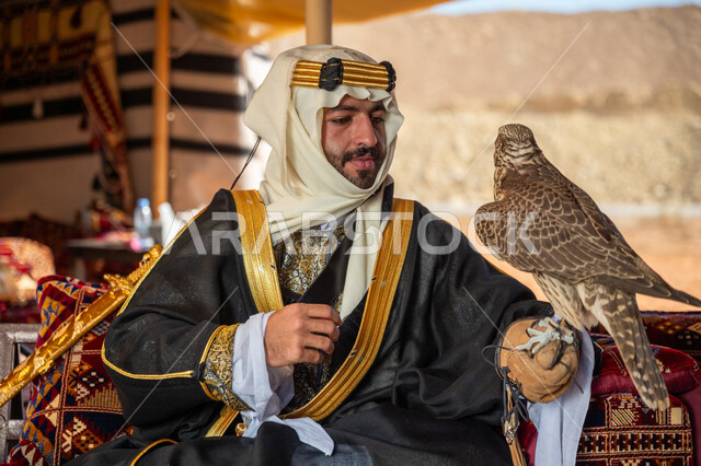 الاهتمام بتربيه الطيور البرية, مكانة الصقور في التاريخ السعودي, ذكرى تأسيس الدوله السعوديه الأولى 1727 م, يوم بدينا 22 فبراير، رجل عربي خليجي سعودي يرتدي الغترة والبشت والعقال الذهبي العريض يجلس بالخيمة يحمل على يده طائر الصقر بتعابير الفخر, تدريب الصقر الجارح