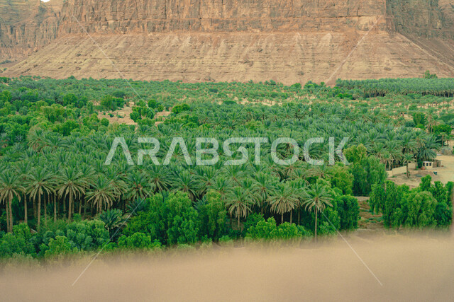 نمو أشجار النخيل والنباتات في المناطق المناطق الصحراوية, التشكيلات والتكوينات الصخرية, القمم والمرتفعات الجبلية, الرمال الذهبية الناعمة في الصحراء, المعالم الطبيعية السياحية المشهورة في المملكة العربية السعودية, السياحة في منطقة العلا