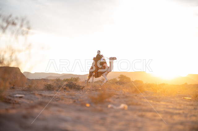 ذكرى تأسيس الدولة السعودية الأولى 1727م, الاعتزاز والفخر بالانتماء للوطن, يوم بدينا 22 فبراير, ارتداء الزي الشعبي في المناسبة الوطنية, صورة من الجانب لرجل عربي خليجي سعودي يرتدي البشت التقليدي والغترة يمتطي الجمل وسط الصحراء في وقت غروب الشمس