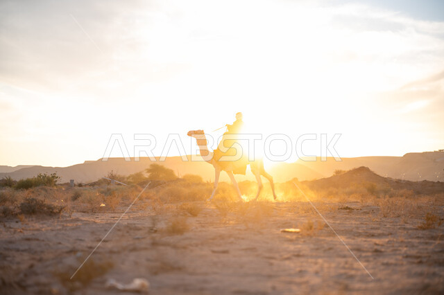 ارتداء الزي الشعبي في المناسبة الوطنية, صورة من الجانب لرجل عربي خليجي سعودي يرتدي البشت التقليدي والغترة يمتطي الجمل وسط الصحراء في وقت غروب الشمس, ذكرى تأسيس الدولة السعودية الأولى 1727م, الاعتزاز والفخر بالانتماء للوطن, يوم بدينا 22 فبراير