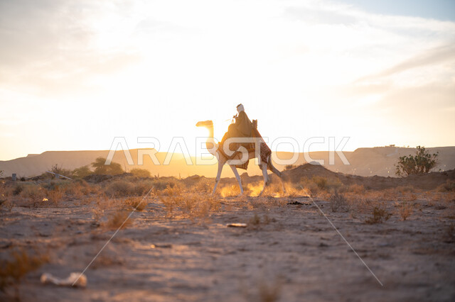 ذكرى تأسيس الدولة السعودية الأولى 1727م, الاعتزاز والفخر بالانتماء للوطن, يوم بدينا 22 فبراير, ارتداء الزي الشعبي في المناسبة الوطنية, صورة من الجانب لرجل عربي خليجي سعودي يرتدي البشت التقليدي والغترة يمتطي الجمل وسط الصحراء في وقت غروب الشمس