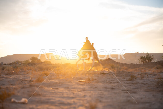 ارتداء الزي الشعبي في المناسبة الوطنية, صورة من الجانب لرجل عربي خليجي سعودي يرتدي البشت التقليدي والغترة يمتطي الجمل وسط الصحراء في وقت غروب الشمس, ذكرى تأسيس الدولة السعودية الأولى 1727م, الاعتزاز والفخر بالانتماء للوطن, يوم بدينا 22 فبراير