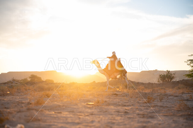 ذكرى تأسيس الدولة السعودية الأولى 1727م, الاعتزاز والفخر بالانتماء للوطن, يوم بدينا 22 فبراير, ارتداء الزي الشعبي في المناسبة الوطنية, صورة من الجانب لرجل عربي خليجي سعودي يرتدي البشت التقليدي والغترة يمتطي الجمل وسط الصحراء في وقت غروب الشمس