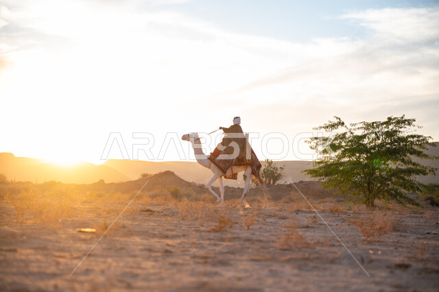Anniversary of the founding of the first Saudi state 1727 AD, pride and honor in belonging to the homeland, the day we started February 22, wearing the traditional costume on the national occasion, a side view of a Saudi Gulf Arab man wearing the traditional bisht and ghutra riding a camel in the middle of the desert at sunset