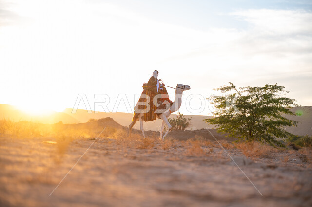 ارتداء الزي الشعبي في المناسبة الوطنية, صورة من الجانب لرجل عربي خليجي سعودي يرتدي البشت التقليدي والغترة يمتطي الجمل وسط الصحراء في وقت غروب الشمس, ذكرى تأسيس الدولة السعودية الأولى 1727م, الاعتزاز والفخر بالانتماء للوطن, يوم بدينا 22 فبراير