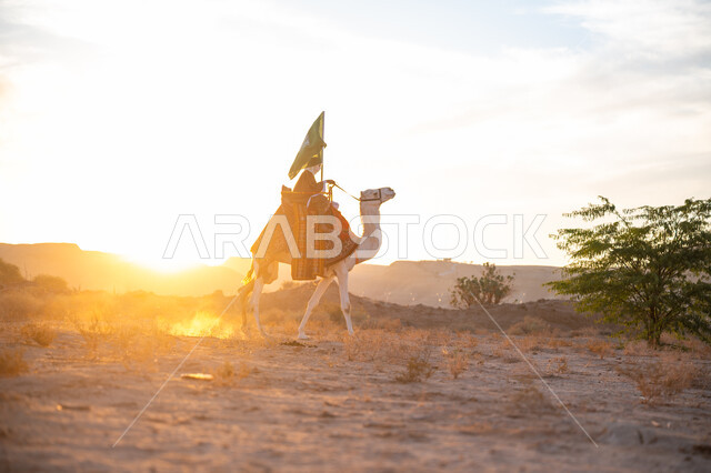 يوم بدينا 22 فبراير, صورة من الجانب لرجل عربي خليجي سعودي يرتدي البشت التقليدي والغترة يمتطي الجمل وسط الصحراء ويحمل علم المملكة وقت غروب الشمس, ذكرى تأسيس الدولة السعودية الأولى  1727م, ارتباط الإبل بالأصالة والعراقة, ارتداء الزي الشعبي في المناسبة الوطنية