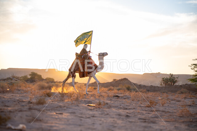 يوم بدينا 22 فبراير, صورة من الجانب لرجل عربي خليجي سعودي يرتدي البشت التقليدي والغترة يمتطي الجمل وسط الصحراء ويحمل علم المملكة وقت غروب الشمس, ذكرى تأسيس الدولة السعودية الأولى  1727م, ارتباط الإبل بالأصالة والعراقة, ارتداء الزي الشعبي في المناسبة الوطنية