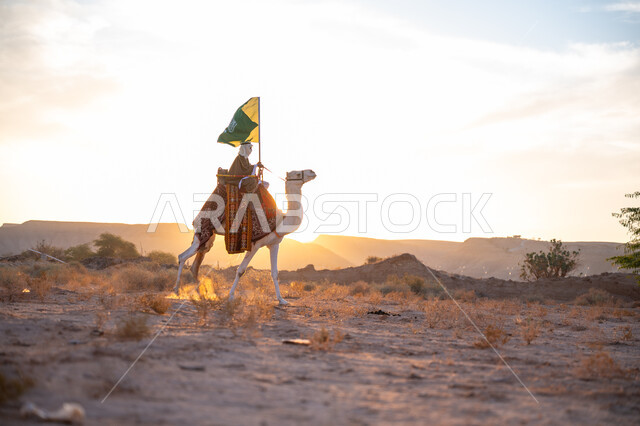 The association of camels with authenticity and antiquity, wearing traditional costume on the national occasion, the day of our beginning, February 22, a side view of a Saudi Arabian Gulf man wearing the traditional bisht and ghutra riding a camel in the middle of the desert and carrying the flag of the Kingdom at sunset, the anniversary of the founding of the first Saudi state 1727 AD