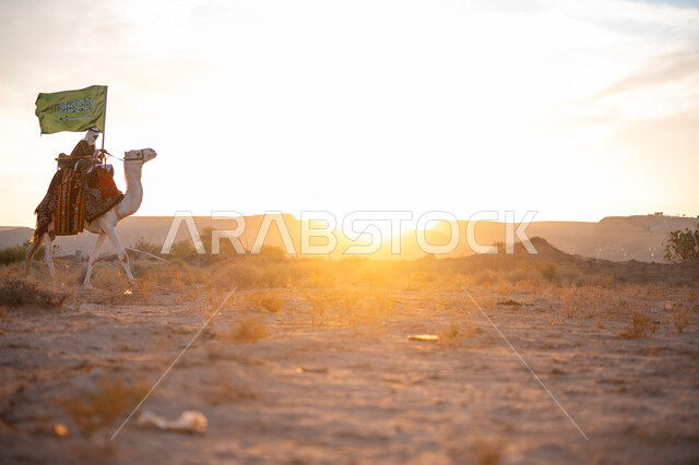 ذكرى تأسيس الدولة السعودية الأولى  1727م, ارتباط الإبل بالأصالة والعراقة, ارتداء الزي الشعبي في المناسبة الوطنية، يوم بدينا 22 فبراير, صورة من الجانب لرجل عربي خليجي سعودي يرتدي البشت التقليدي والغترة يمتطي الجمل وسط الصحراء ويحمل علم المملكة وقت غروب الشمس