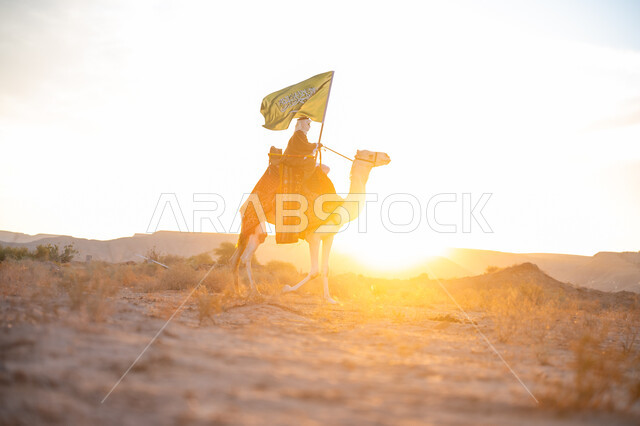 The association of camels with authenticity and antiquity, wearing traditional dress on a national occasion, a Saudi Gulf Arab man wearing a bisht and a ghutra riding a camel in the desert and carrying the flag of the Kingdom at sunset, pride in belonging to the homeland, the day we started, February 22, the anniversary of the founding of the first Saudi state 1727 AD