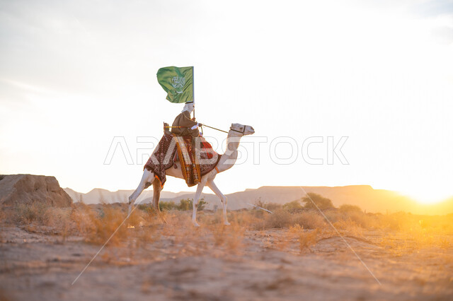 The association of camels with authenticity and antiquity, wearing traditional dress on a national occasion, a Saudi Gulf Arab man wearing a bisht and a ghutra riding a camel in the desert and carrying the flag of the Kingdom at sunset, pride in belonging to the homeland, the day we started, February 22, the anniversary of the founding of the first Saudi state 1727 AD