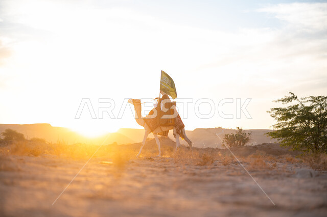 ذكرى تأسيس الدولة السعودية الأولى  1727م, ارتباط الإبل بالأصالة والعراقة, ارتداء الزي الشعبي في المناسبة الوطنية, رجل عربي خليجي سعودي يرتدي البشت والغترة يمتطي الجمل في الصحراء ويحمل علم المملكة وقت غروب الشمس, الفخر بالإنتماء الى الوطن, يوم بدينا 22 فبراير