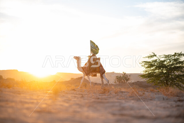 يوم بدينا 22 فبراير, ذكرى تأسيس الدولة السعودية الأولى  1727م, ارتباط الإبل بالأصالة والعراقة, ارتداء الزي الشعبي في المناسبة الوطنية, رجل عربي خليجي سعودي يرتدي البشت والغترة يمتطي الجمل في الصحراء ويحمل علم المملكة وقت غروب الشمس, الفخر بالإنتماء الى الوطن