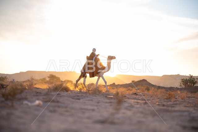 ذكرى تأسيس الدولة السعودية الأولى 1727م, الاعتزاز والفخر بالانتماء للوطن, يوم بدينا 22 فبراير, ارتداء الزي الشعبي في المناسبة الوطنية, صورة من الجانب لرجل عربي خليجي سعودي يرتدي البشت التقليدي والغترة يمتطي الجمل وسط الصحراء في وقت غروب الشمس