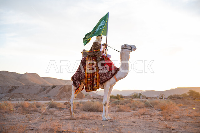 الاحتفال بعيد ومناسبة وطنية, ارتداء الزي الشعبي بيوم تأسيس الدولة السعودية الأولى 1727 م, يوم بدينا 22 فبراير, الفخر والاعتزاز بالإنتماء الى الوطن، ارتباط الإبل بالتراث السعودي, رجل عربي خليجي سعودي يرتدي البشت والغترة يمتطي الجمل في الصحراء ويحمل علم المملكة
