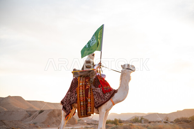 ارتداء الزي الشعبي بيوم تأسيس الدولة السعودية الأولى 1727 م, يوم بدينا 22 فبراير, الفخر والاعتزاز بالإنتماء الى الوطن، ارتباط الإبل بالتراث السعودي, الاحتفال بعيد ومناسبة وطنية, رجل عربي خليجي سعودي يرتدي البشت والغترة يمتطي الجمل في الصحراء ويحمل علم المملكة