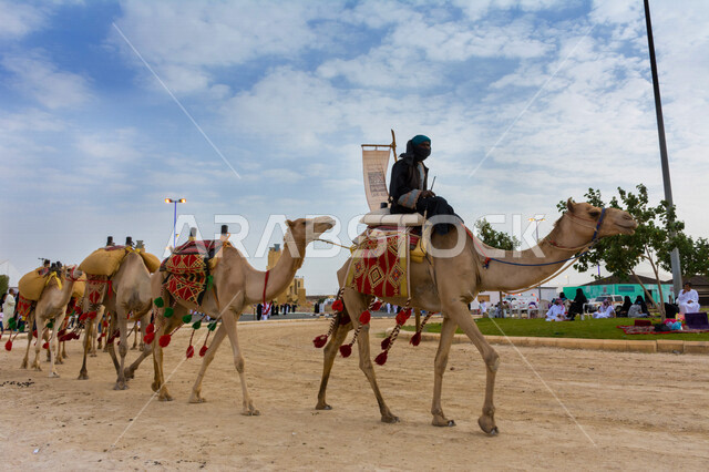 صورة جمالية لمجموعة من الجمال في المهرجان العربي السنوي سوق عكاظ ، جمال السياحة في مدينة الطائف في المملكة العربية السعودية ، فعاليات و أنشطة ترفيهية ثقافية عربية قديمة تقليدية سعودية ، المملكة العربية السعودية