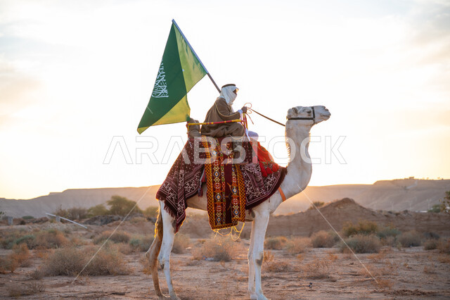 The day we started is February 22, the anniversary of the founding of the first Saudi state in 1727 AD, a Saudi Gulf Arab man wearing a bisht and a ghutra riding a camel in the desert and carrying the flag of the Kingdom, the banner of Islam and monotheism, wearing traditional folk costume on a national occasion, the concept of love of the homeland and belonging to it