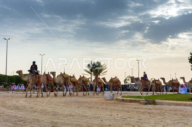 صورة جمالية لمجموعة من الجمال في المهرجان العربي السنوي سوق عكاظ ، جمال السياحة في مدينة الطائف في المملكة العربية السعودية ، فعاليات و أنشطة ترفيهية ثقافية عربية قديمة تقليدية سعودية ، المملكة العربية السعودية