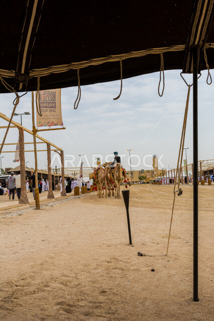صورة جمالية من الخلف لمجموعة من الجمال في المهرجان العربي السنوي سوق عكاظ ، جمال السياحة في مدينة الطائف في المملكة العربية السعودية ، فعاليات و أنشطة ترفيهية ثقافية عربية قديمة تقليدية سعودية ، المملكة العربية السعودية