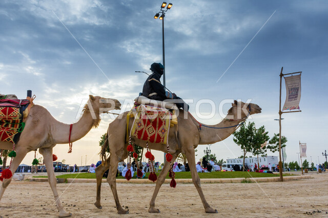 صورة جمالية لمجموعة من الجمال في المهرجان العربي السنوي سوق عكاظ ، جمال السياحة في مدينة الطائف في المملكة العربية السعودية ، فعاليات و أنشطة ترفيهية ثقافية عربية قديمة تقليدية سعودية ، المملكة العربية السعودية